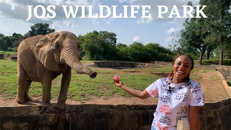 Jos Wildlife Park – En Djungelfull av Fascinerande Djur och Utmärkt Naturupplevelse!