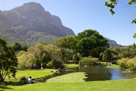  Kirstenbosch Nationale Botaniska Trädgården – En oas av biologisk mångfald och artistisk inspiration!