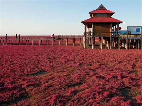 Panjin Hongshutai Nature Reserve – En röd plats för naturens underverk och fotograferingsglädje!